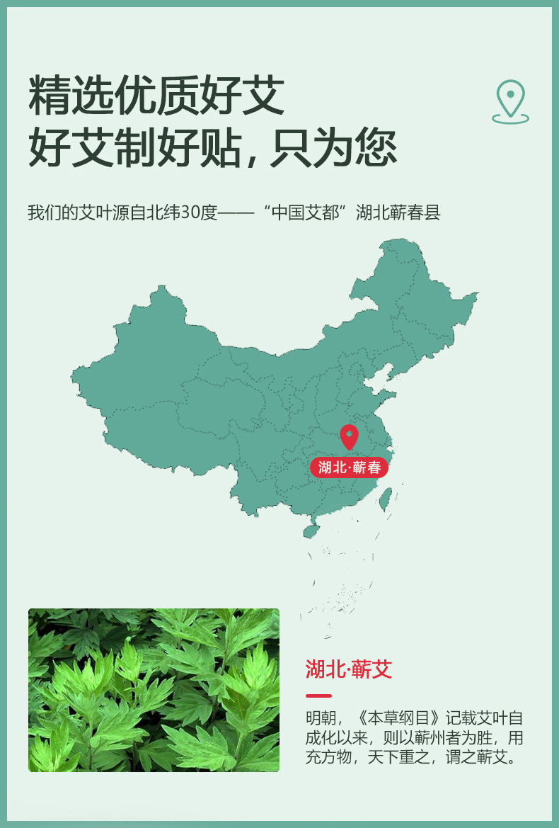 艾草頸椎貼(圖4) 膏藥代加工-艾草頸椎貼精選優質好艾葉-修康藥業