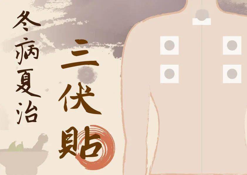 【詳解】什么是三伏貼？三伏貼的功效與注意事項！