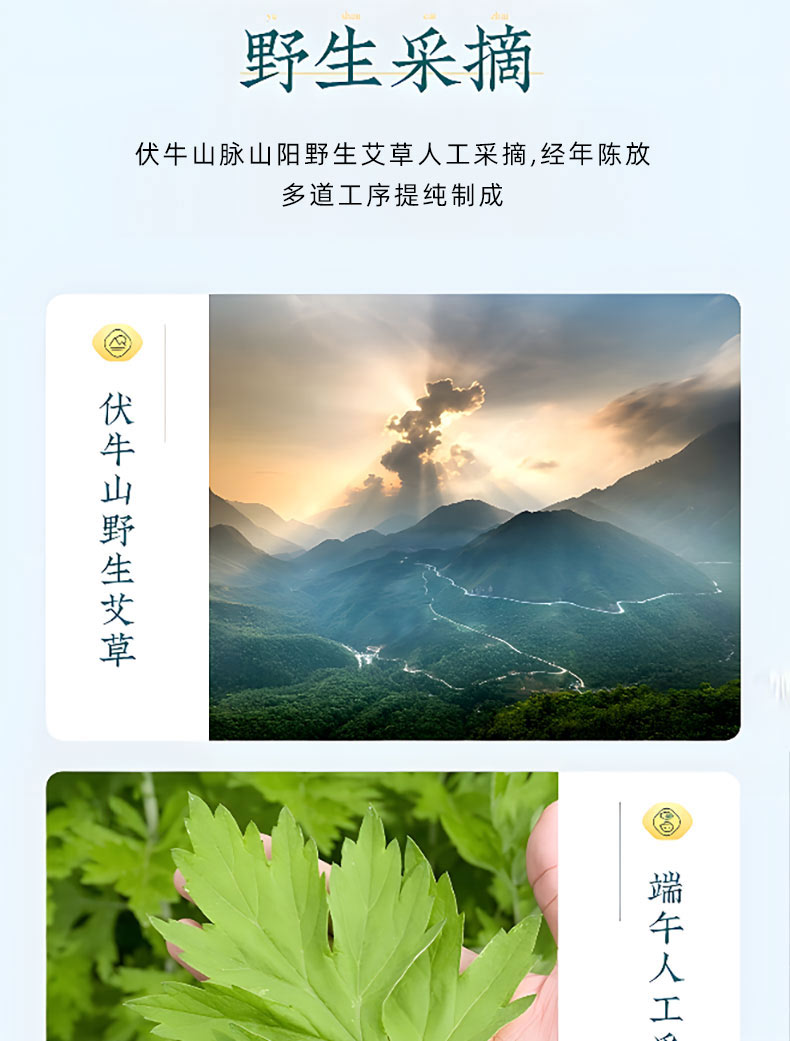 艾草足貼選用伏牛山野生艾草 艾草足貼選用伏牛山野生艾草