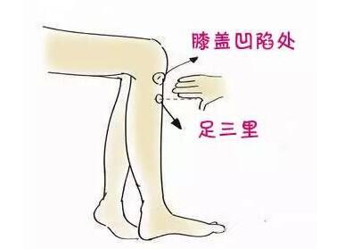 足三里穴位 足三里穴位