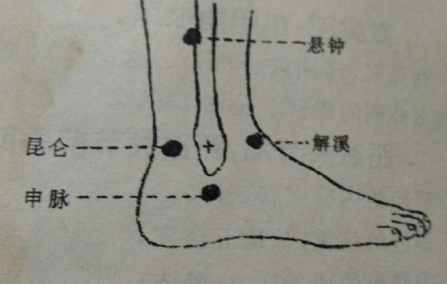 足三陽經(jīng)穴 足三陽經(jīng)穴