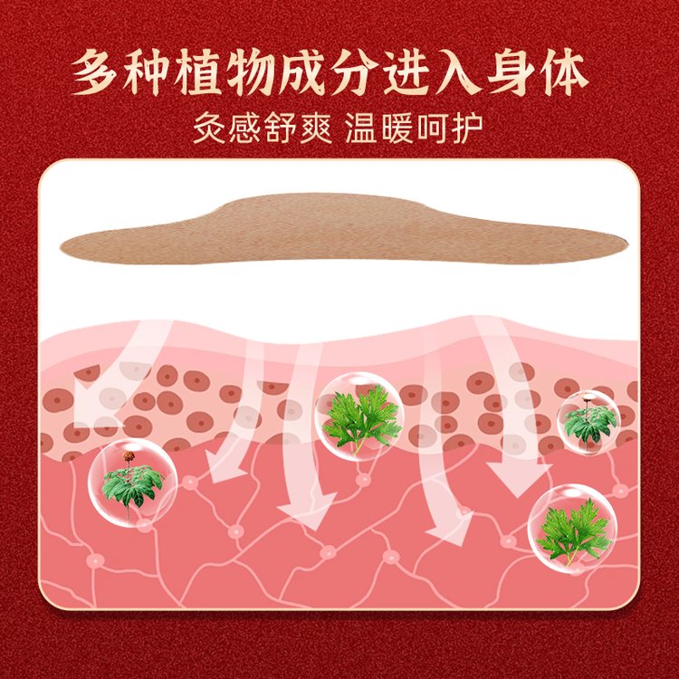 三七透骨貼作用 三七透骨貼作用